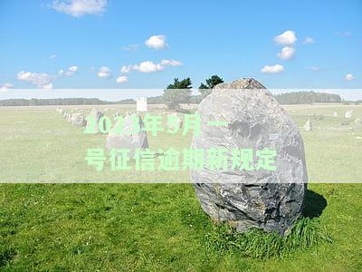 2021年征信逾期新政策全解析：内容、影响与查询方式