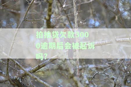 拍拍贷欠款3000逾期后会被起诉吗，逾期未还拍拍贷欠款3000，是否会面临被起诉的风险？