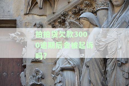 拍拍贷欠款3000逾期后会被起诉吗?