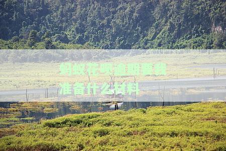 蚂蚁花呗逾期要我准备什么材料