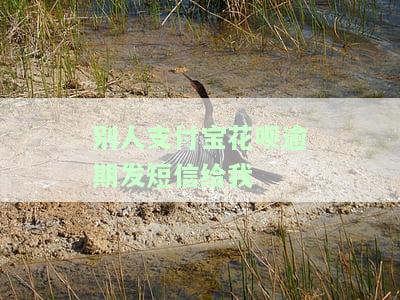 朋友花呗逾期，支付宝为何频繁催收并威胁移交法院？