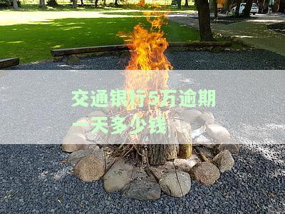 交通银行5万逾期一天多少钱