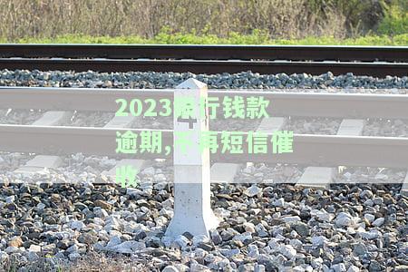 如何处理银行催收不到位导致的逾期问题？无力偿还怎么办？催收无果后的下一步是什么？