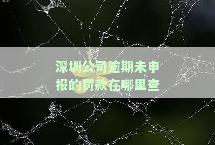 深圳逾期申报处罚标准，深圳：逾期申报将面临何种处罚？标准一览