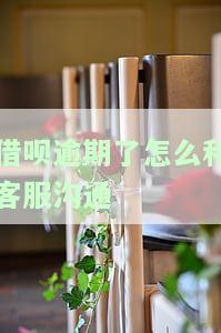 借呗逾期了怎么和客服沟通协商，如何与借呗客服有效协商逾期问题？