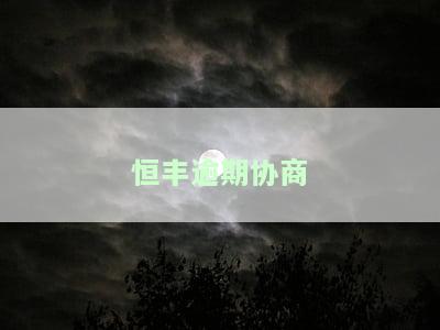 恒丰逾期协商
