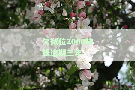 微粒贷2000逾期3年，30000逾期2年即将被起诉，2000逾期近2年未还，3000逾期半年仍欠款多少？