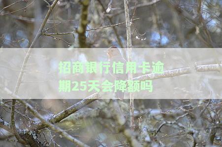 招商逾期20天会降额封卡吗，逾期20天，招商银行是否会降低额度或冻结信用卡？