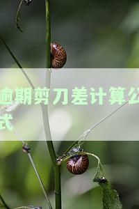 逾期剪刀差计算方法：60天、90天及不良贷款的计算公式