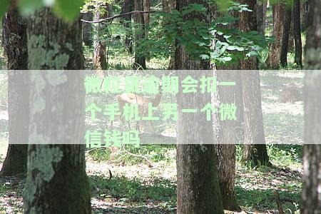 微粒贷欠款会扣本名另一个微信的钱吗，微粒贷欠款是否会扣除本名下另一个微信账号的资金？