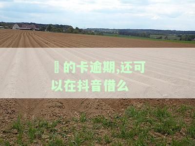别的卡逾期是否还能在抖音借款？会不会影响其他银行卡使用及安全性？逾期后是否会自动从其他银行卡扣款？逾期是否会影响其他银行服务？
