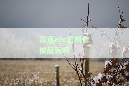 高速etc逾期了对征信有影响，逾期未还款？小心ETC罚款影响个人征信！