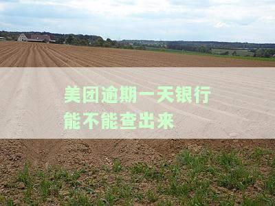 美团逾期一天会不会对征信有影响信用卡使用，美团逾期一天是否会影响信用卡使用和征信记录？