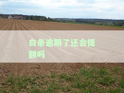 白条逾期后，能否继续使用、提额？逾期处理方法及影响解析