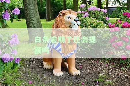 白条有逾期，当心！你的'白条'已经出现逾期，需要立即处理