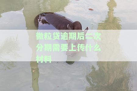 微粒贷二次借款需要审核吗？时间、安全及要求全解析