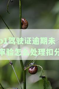 b1驾驶证逾期未换证怎么办，如何处理B1驾驶证逾期未换证的情况？
