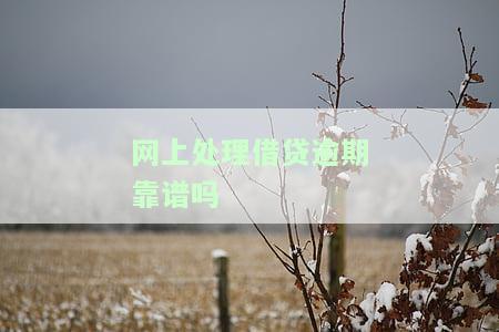 网上借款逾期了怎么办？后果严重，影响深远，包括可能上征信、产生高额罚息等。立即行动，积极还款，避免进一步恶化。