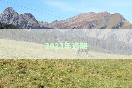 2023年逾期-2023年逾期人数