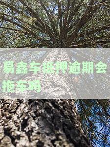 易鑫车抵押逾期会拖车吗多久，易鑫车抵押逾期：会被拖车吗？多久后开始行动？