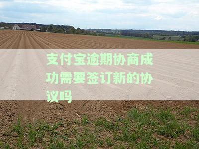 支付宝逾期协商有成功案例吗？了解最新政策及还款方案！