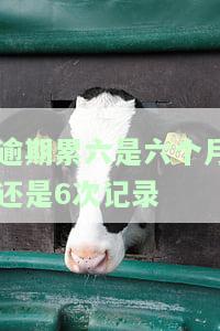逾期累六是六个月还是6次记录