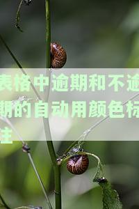表格中逾期和不逾期的自动用颜色标注