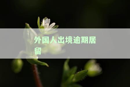 外国人出境逾期居留-外国人出境逾期居留怎么处理