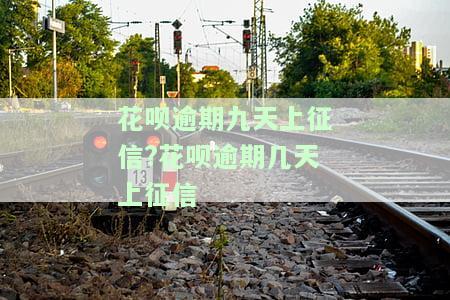 花呗逾期几天上征信？了解逾期后果与最新规定
