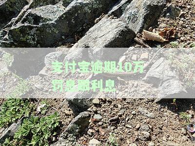 支付宝逾期10万罚息跟利息一样吗，支付宝逾期10万，罚息与利息有何区别？