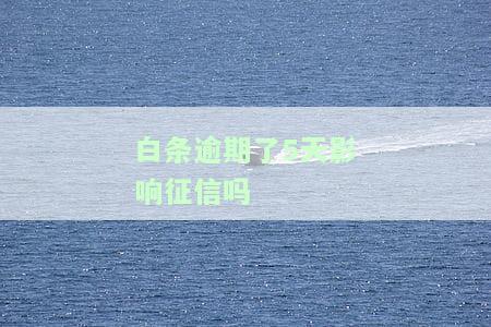 白条逾期5天会否上征信？了解相关后果及解决办法！