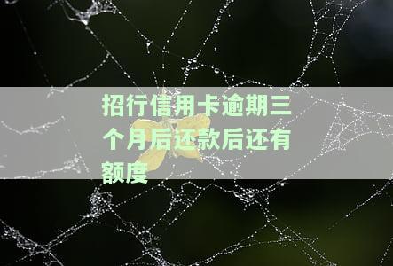 招行信用卡逾期三个月后还款后还有额度