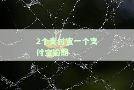 两个支付宝号一个逾期会不会通知另一个，两个支付宝账号，其中一个逾期会通知另一个吗？