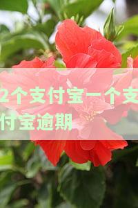 两个支付宝其中一个逾期，另一个会显示逾期吗？可能会被扣款，影响信用记录。