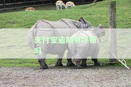 支付宝逾期会如何影响你？会不会联系家人朋友、冻结微信或银行卡、上征信黑名单？真的还不上怎么办？