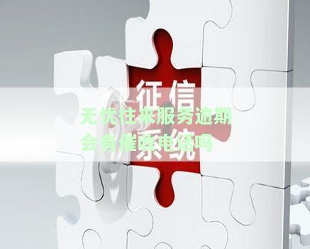无忧往来服务：可靠性、真实性及借款情况全解析