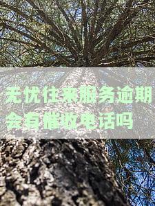 无忧往来服务借钱，轻松借走无忧，畅享金融服务