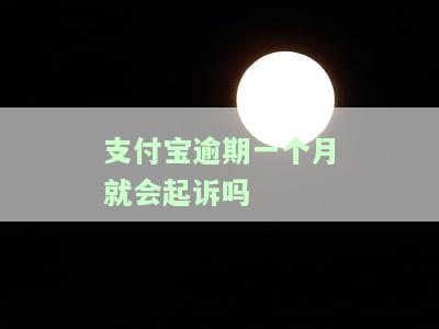支付宝逾期一个月真的会起诉吗？