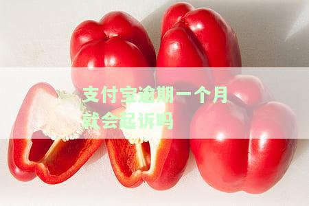 支付宝逾期一个月被起诉吗，支付宝逾期一个月是否会面临诉讼风险？