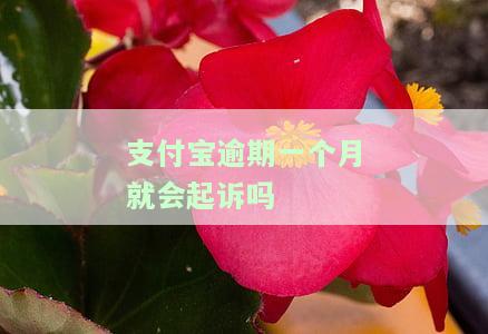 支付宝逾期一个月就会起诉吗-花呗借呗无力还款最佳处理方法