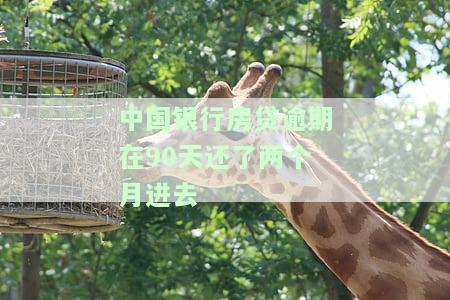 中国银行房贷逾期20天，影响大吗？逾期多久会影响个人征信？