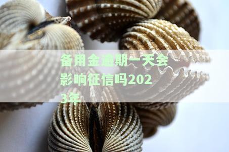备用金逾期一天会影响征信吗？2023年11月