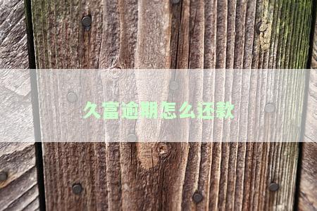 久富现在是否需要还款？最新消息与真相解析