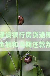 建设银行房贷还款日逾期一天会怎么样，逾期一天还建行房贷，会有何后果？