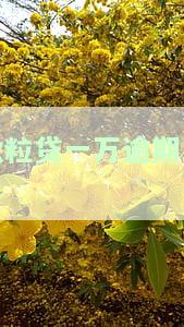 微粒贷逾期1万多2年多：会如何处理？是否会被起诉？