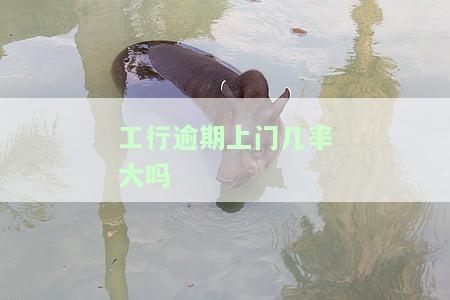 工行逾期上门几率大吗，工行逾期是否会上门催收？几率大吗？
