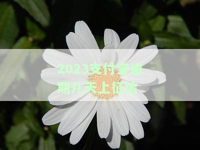 支付宝逾期多久会上征？影响花呗、能否消除及可能面临的后果