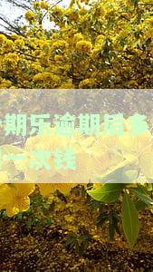 分期乐逾期后多久扣一次钱