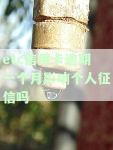 etc信用卡逾期一个月影响个人征信吗，信用卡逾期一个月是否会影响个人征信？——etc案例解析