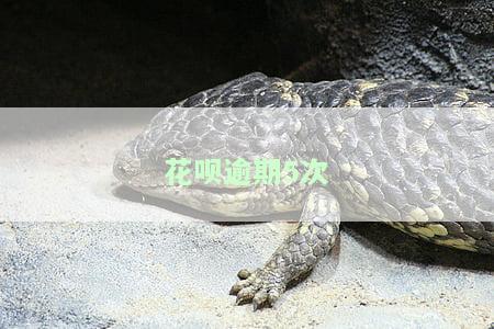 花呗逾期次数多,每次逾期没超过五天会影响征信吗，花呗逾期次数多，但每次未超过五天，是否会影响个人征信？